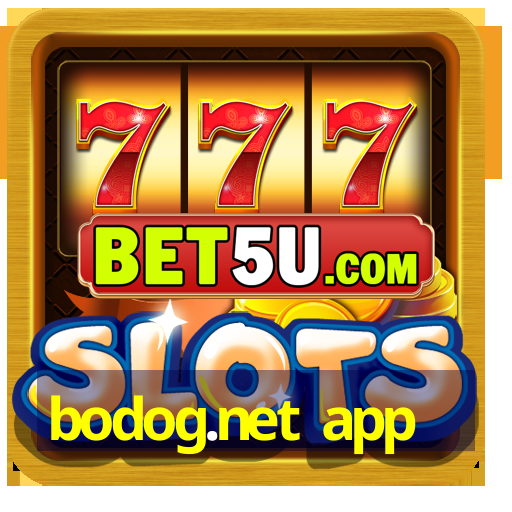 bodog.net app